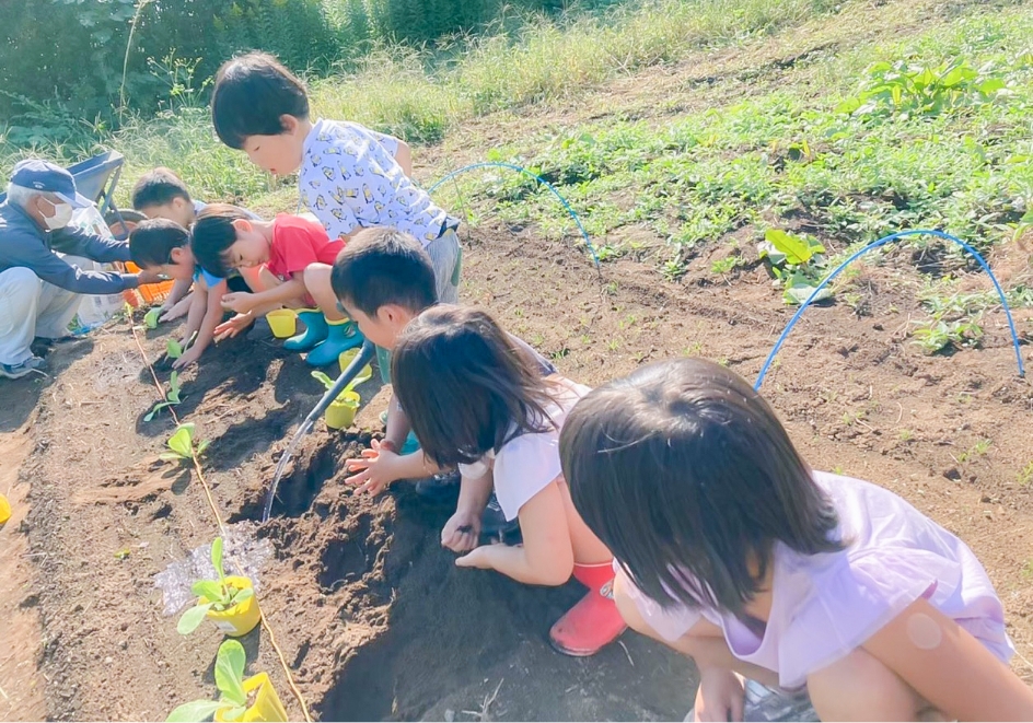 食育について02